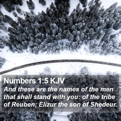 Numbers 1:5 KJV Bible Verse Image
