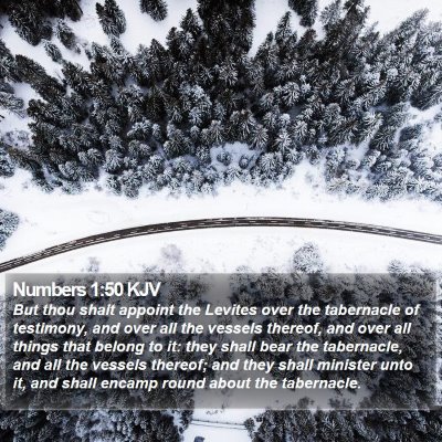 Numbers 1:50 KJV Bible Verse Image