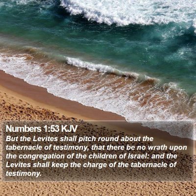 Numbers 1:53 KJV Bible Verse Image