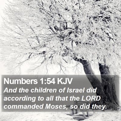 Numbers 1:54 KJV Bible Verse Image