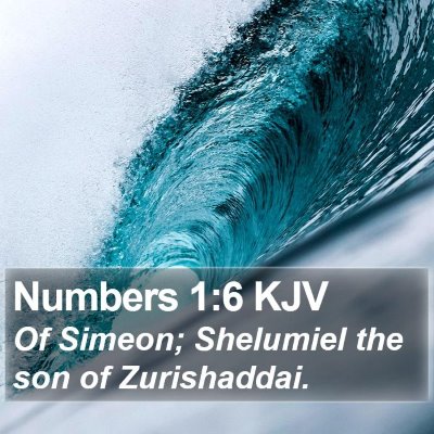 Numbers 1:6 KJV Bible Verse Image