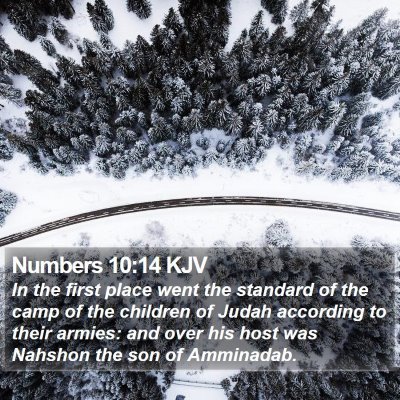 Numbers 10:14 KJV Bible Verse Image