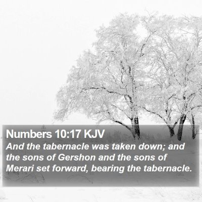 Numbers 10:17 KJV Bible Verse Image