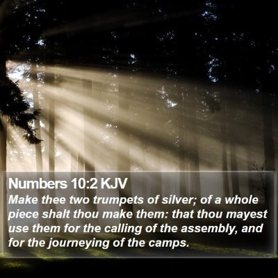 Numbers 10:2 KJV Bible Verse Image