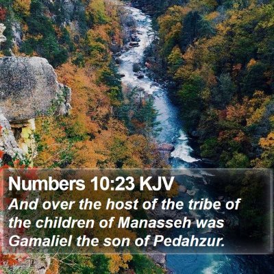 Numbers 10:23 KJV Bible Verse Image