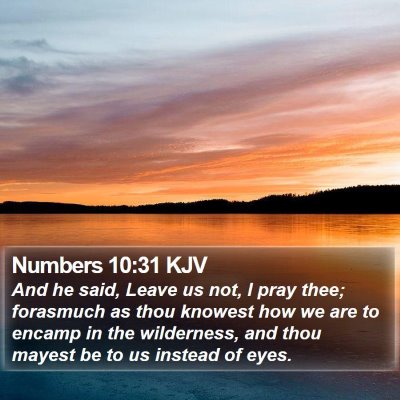 Numbers 10:31 KJV Bible Verse Image