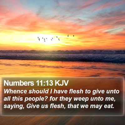 Numbers 11:13 KJV Bible Verse Image