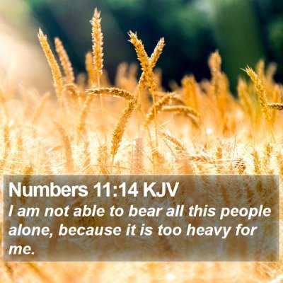 Numbers 11:14 KJV Bible Verse Image