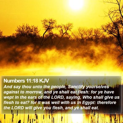 Numbers 11:18 KJV Bible Verse Image