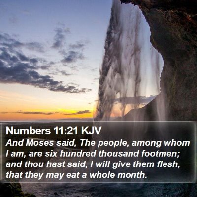 Numbers 11:21 KJV Bible Verse Image
