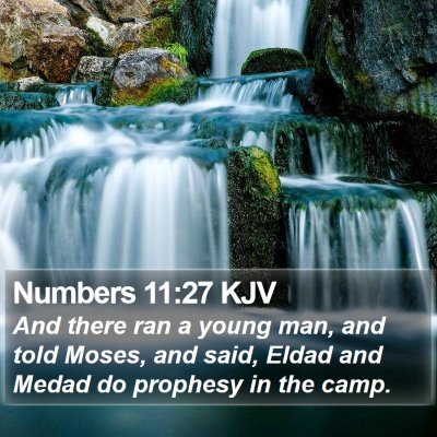 Numbers 11:27 KJV Bible Verse Image