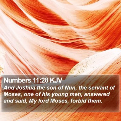 Numbers 11:28 KJV Bible Verse Image