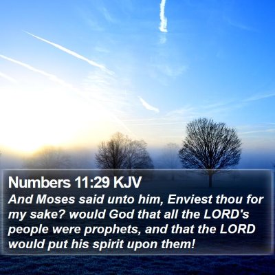 Numbers 11:29 KJV Bible Verse Image
