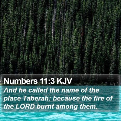Numbers 11:3 KJV Bible Verse Image