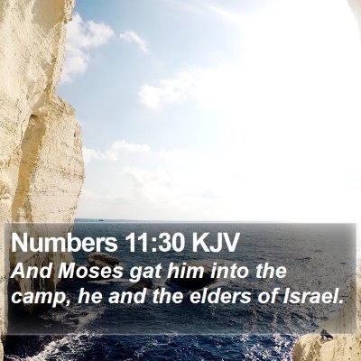 Numbers 11:30 KJV Bible Verse Image