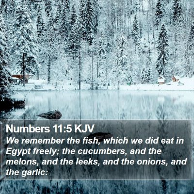 Numbers 11:5 KJV Bible Verse Image