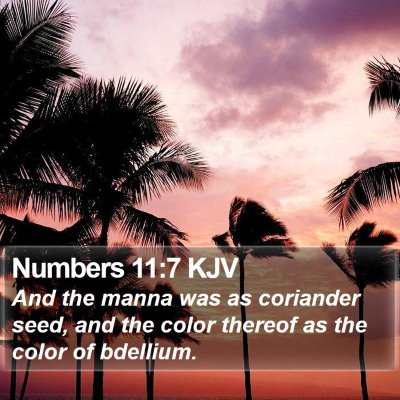 Numbers 11:7 KJV Bible Verse Image