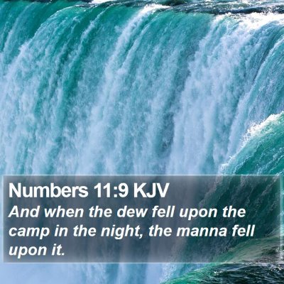 Numbers 11:9 KJV Bible Verse Image