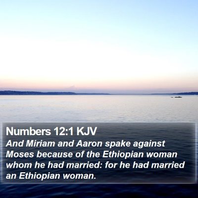 Numbers 12:1 KJV Bible Verse Image