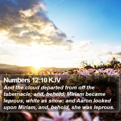 Numbers 12:10 KJV Bible Verse Image