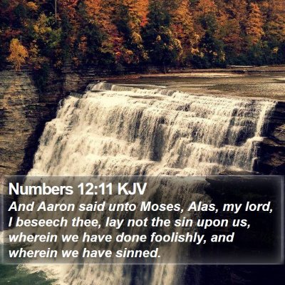 Numbers 12:11 KJV Bible Verse Image