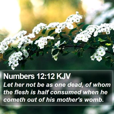 Numbers 12:12 KJV Bible Verse Image