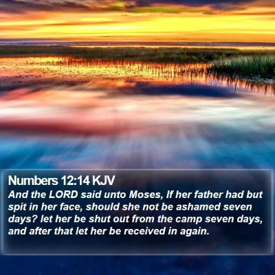 Numbers 12:14 KJV Bible Verse Image