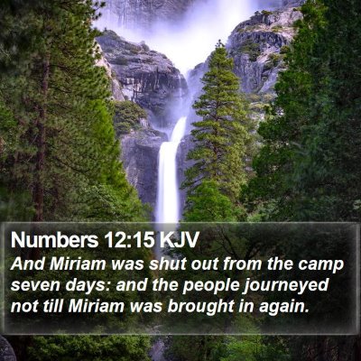Numbers 12:15 KJV Bible Verse Image
