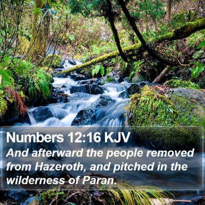 Numbers 12:16 KJV Bible Verse Image