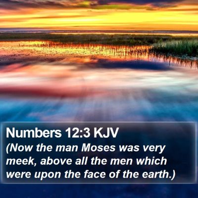 Numbers 12:3 KJV Bible Verse Image