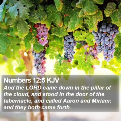 Numbers 12:5 KJV Bible Verse Image