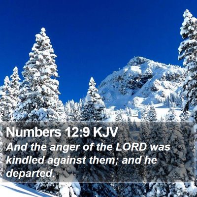 Numbers 12:9 KJV Bible Verse Image