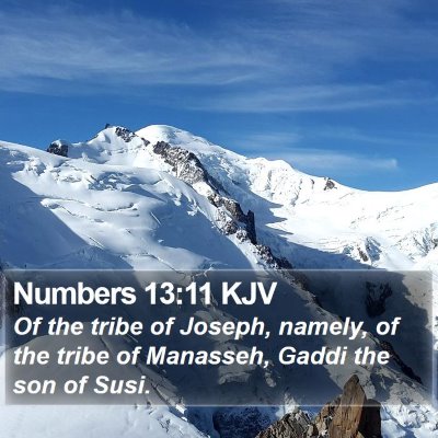 Numbers 13:11 KJV Bible Verse Image