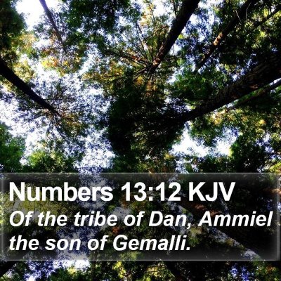 Numbers 13:12 KJV Bible Verse Image