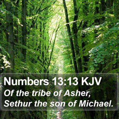 Numbers 13:13 KJV Bible Verse Image