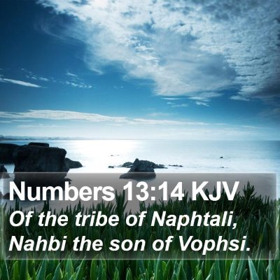 Numbers 13:14 KJV Bible Verse Image