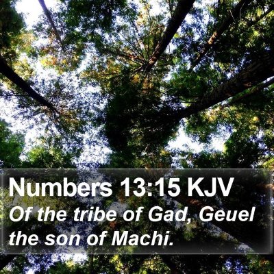 Numbers 13:15 KJV Bible Verse Image