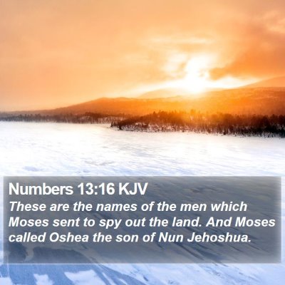 Numbers 13:16 KJV Bible Verse Image