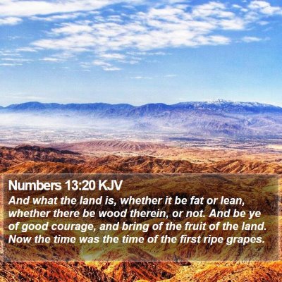 Numbers 13:20 KJV Bible Verse Image