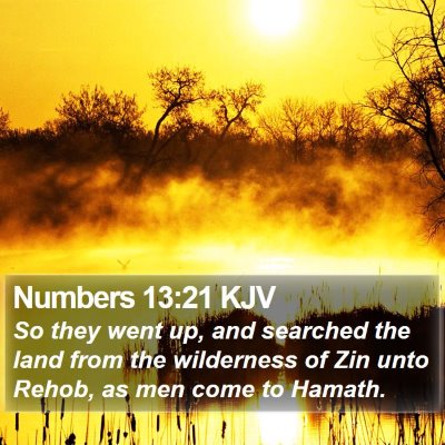 Numbers 13:21 KJV Bible Verse Image