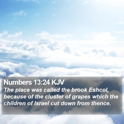 Numbers 13:24 KJV Bible Verse Image