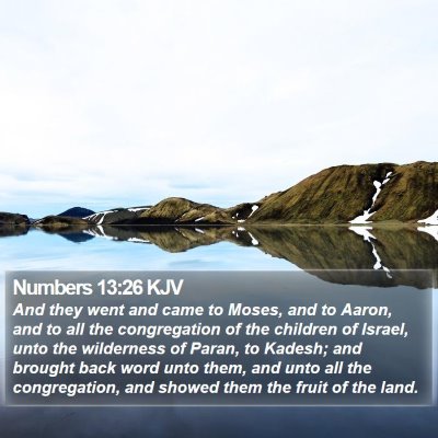 Numbers 13:26 KJV Bible Verse Image