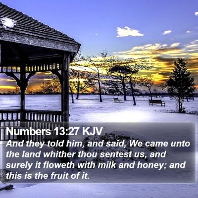 Numbers 13:27 KJV Bible Verse Image