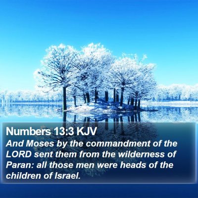 Numbers 13:3 KJV Bible Verse Image
