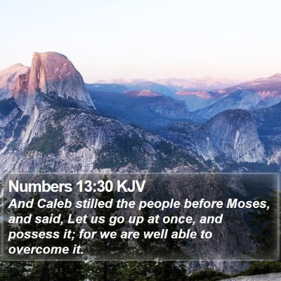 Numbers 13:30 KJV Bible Verse Image