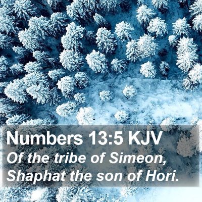 Numbers 13:5 KJV Bible Verse Image