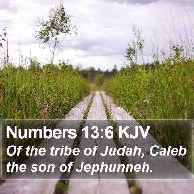 Numbers 13:6 KJV Bible Verse Image