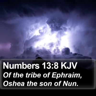 Numbers 13:8 KJV Bible Verse Image