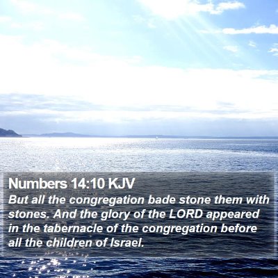 Numbers 14:10 KJV Bible Verse Image