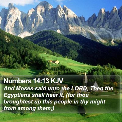 Numbers 14:13 KJV Bible Verse Image